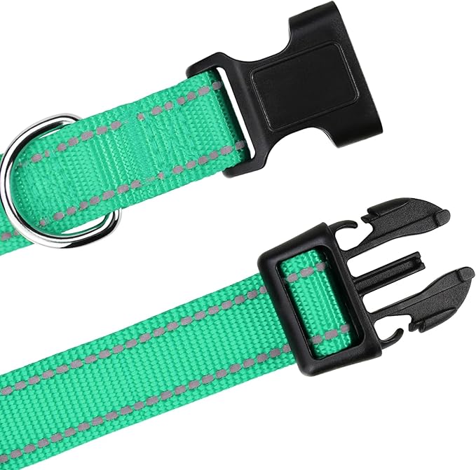 TagME Reflective Nylon Dog Collars, Adjustable Classic Pet Collar with Quick Release Buckle for Puppy, Turquoise, 3/8" Width