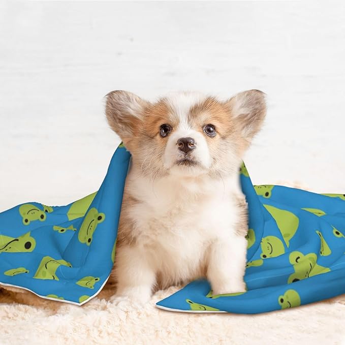 Pet Blanket for Couches and Beds, Colorful Pattern Adorable Frog Face Pattern, Reversible Double Sided Plush Design with Soft Bumpy Texture and Smooth Surface, Furniture Protector