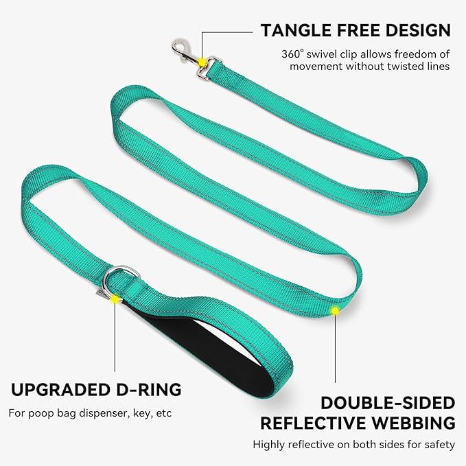 Joytale Dog Leash, 5 FT Double-Sided Reflective, Padded Handle Nylon Heavy Duty Leashes for Small Dogs Walking, Teal
