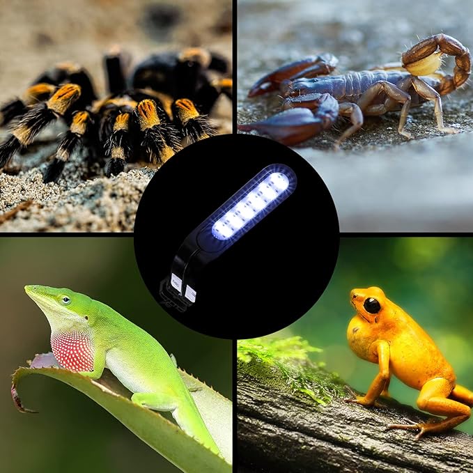 REPTI ZOO 5W Reptile Terrarium Light Fixture, Day and Night LED Clip Light for Reptile Tank, Full Spectrum White Bule Red Lights, 7 Light Modes Clamp Lamp