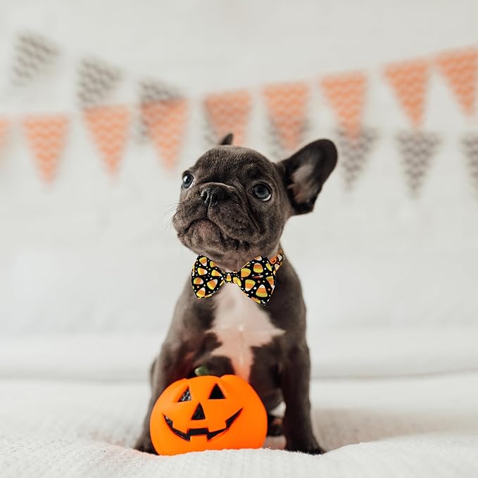 Halloween Dog Bow Tie Collar, Holiday Candy Corn Collar for Large Medium Small Dog Pets Puppies