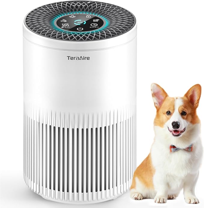 Air Purifiers for Bedroom Home, Air Purifier