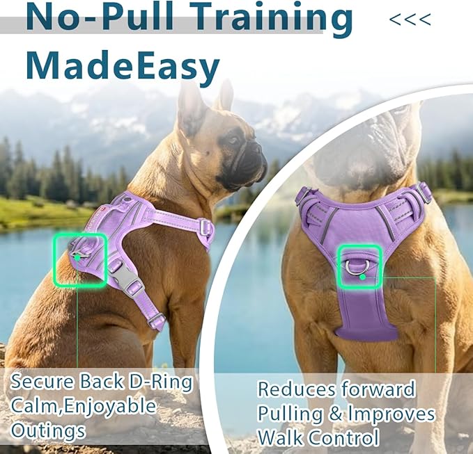 BARKBAY Dog Harness No Pull Oxford with ID Tag Pocket - Heavy Duty, Reflective, Easy Control for Large Dogs(Violet Purple Oxford,M)