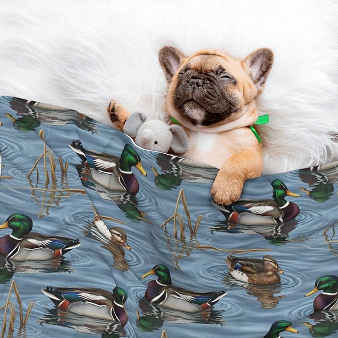 Two Sided Pet Cuddler Blanket for Anxiety Calming, Beauty Mallard Ducks Hunting, Reversible Plush Design with Bubble Dot Pattern Provides Familiar Surface Anywhere