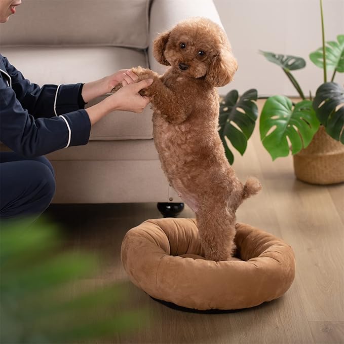KASENTEX Round Dog Bed - Medium Dog Donut Bed, Anti-Slip, Machine Washable (Brown, 23x23 Inches)