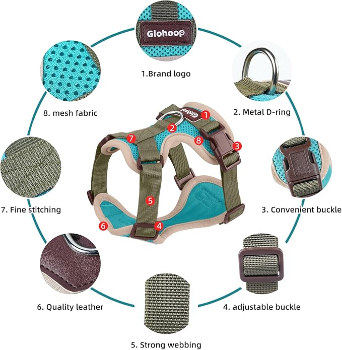 Small Dog Harness and Leash Set, Breathable Mesh Puppy Harness, Adjustable Dog Harness for Small Medium Large Dogs, No-Pull Pet Harness for Daily Walking (Lakeblue, Medium)