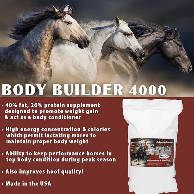 Pennwoods Body Builder 4000, Horse Weight Gain Supplement, High Fat and Energy Horse Weight Builder with Body Conditioning Horse Vitamins, Improves Hoof Quality - 12lb Bag