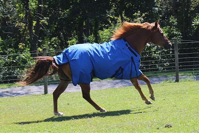 Derby Originals Nordic Tough 1200D Ripstop Waterproof Reflective Winter Horse Turnout Blanket 300g Heavy Weight, Royal Blue, 78"