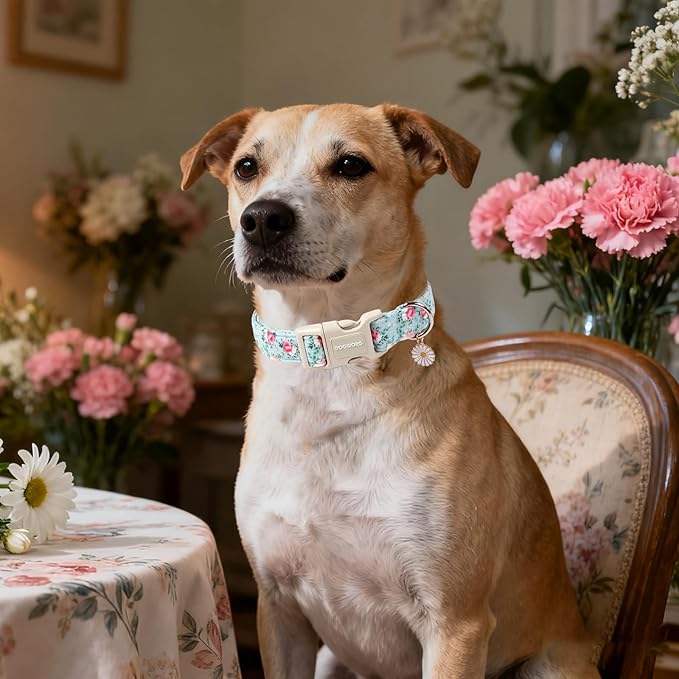 DOGWONG Floral Dog Collar, Cute Adjustable Flower Collar, Girl Female Dog Collar with Strong Plastic Buckle for Small Medium Large Dogs,M