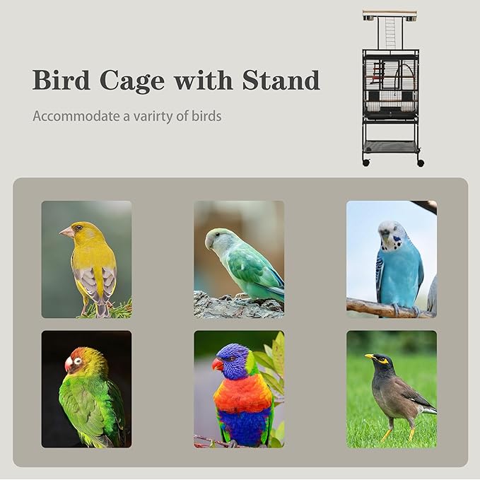 51" Small Bird Cage with Stand,Parakeet Cage, Parrot cage with Parakeet Toys, Bird Cage Accessories,Birdcage Covers for Lovebirds Cockatiel Conure Finch Canary Budgie