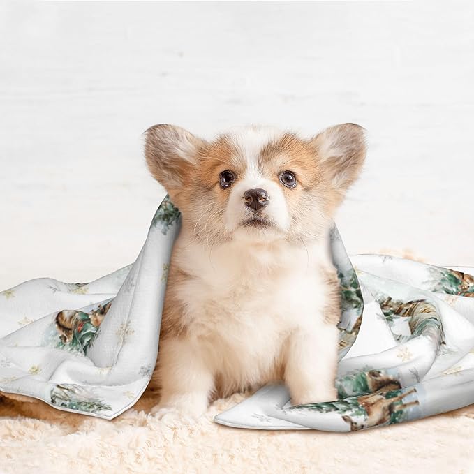 Cabin Blanket for Dogs Cats - Winter Throw Blanket 40x30 Moose Snowflake Pet Couch Blankets for Puppy