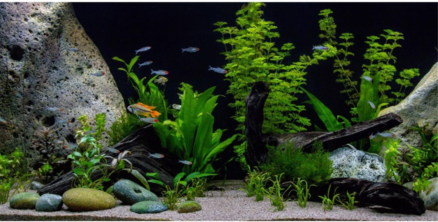 AWERT Vinyl Underwater Aquatic Plant Fish Tank Background Stone River Bed & Lake Aquarium Background 60x24 inches