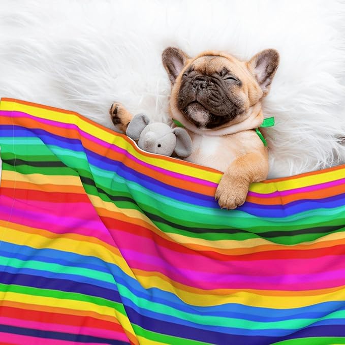 Reversible Dog Blanket for Beds Couches, Novel Colorful Mexican Blanket Stripes, Double Sided Cat Blanket with Textured Dot Feel and Smooth Feel for Seasonal Comfort All Year