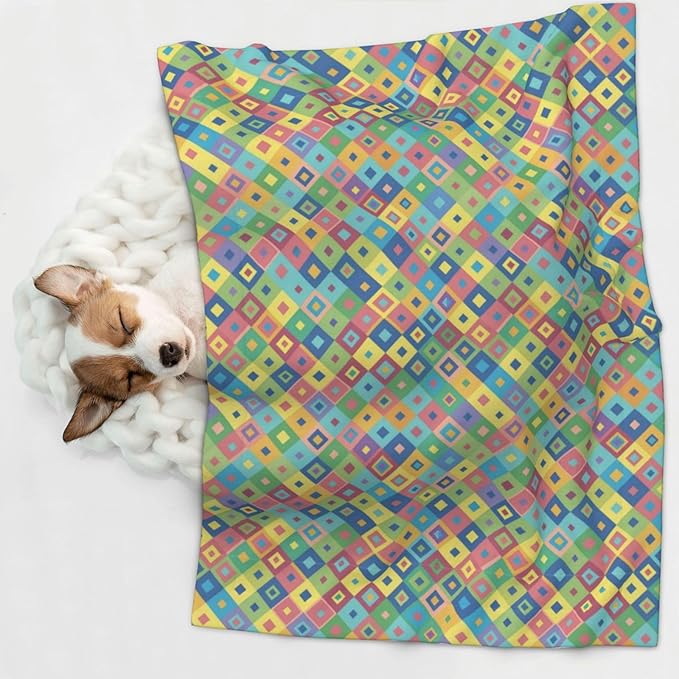 Dog and Cat Blanket in One, Rainbow Diagonal Plaid, Double Sided Plush Throw with Raised Dot Pattern on One Side and Flat Velvet on Other for Variety