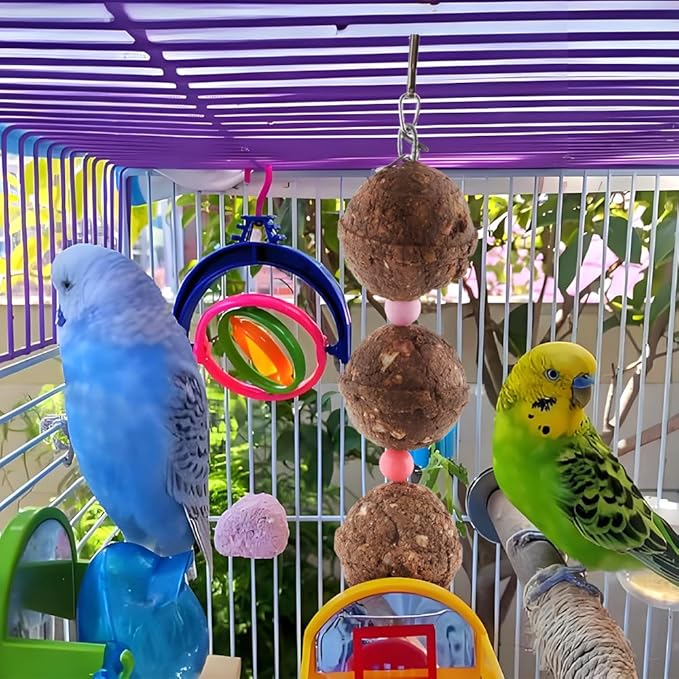 DQITJ 1 Pack Bird Chew Toy Natural Red Clay Cuttlebone for Small Bird Parrot Cockatiel Budgie Conure Finch Lovebird
