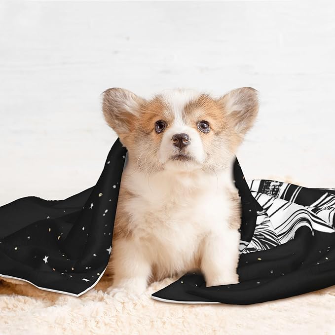 Waterproof Dog Blanket Soft Pet Blanket for Puppy Cat, Fleece Cat Throw Blankets for Furniture Bed Couch Sofa Reversible - New York City1