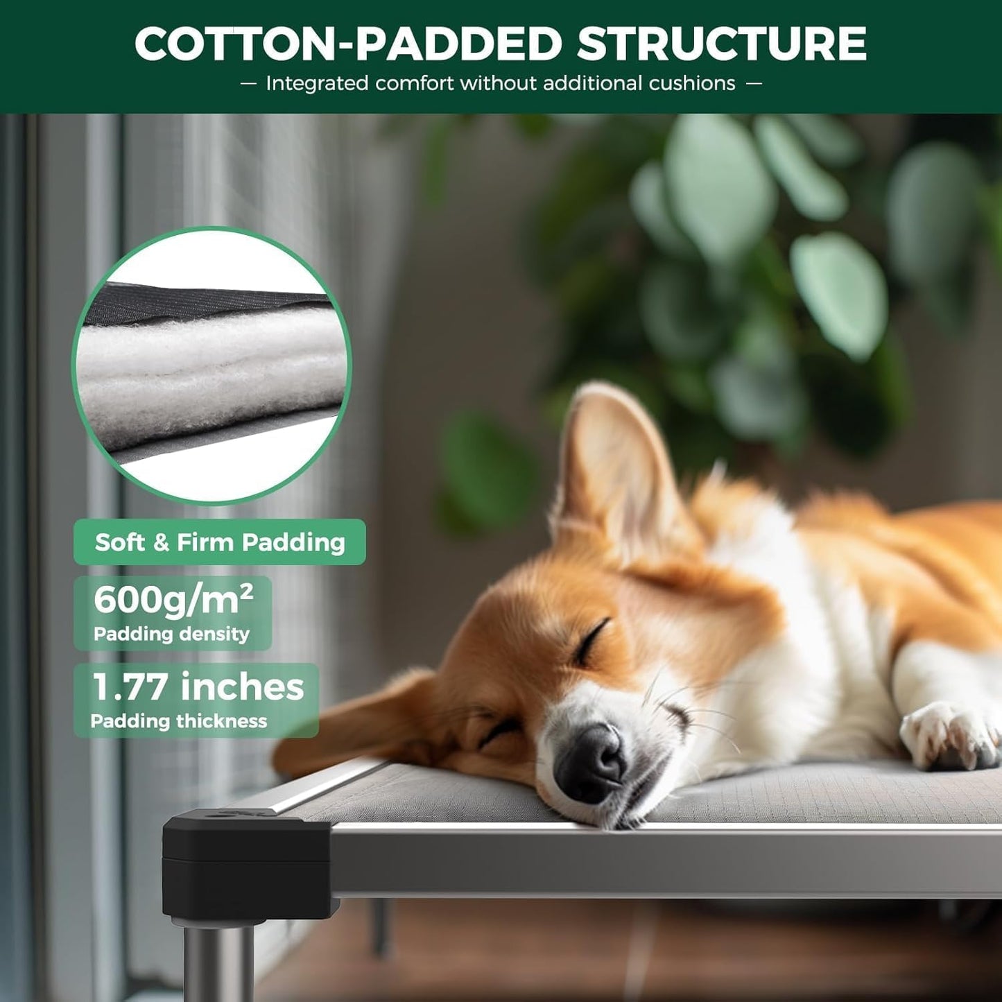 FXW TitanNest Chew-Proof Elevated Dog Bed, Raised Cot for Indoor/Outdoor/Camping Use, Durable & Washable Padded Pet Bed for Toy Dogs, 23.0" L x 17.0" W x 4.5" H, Gray