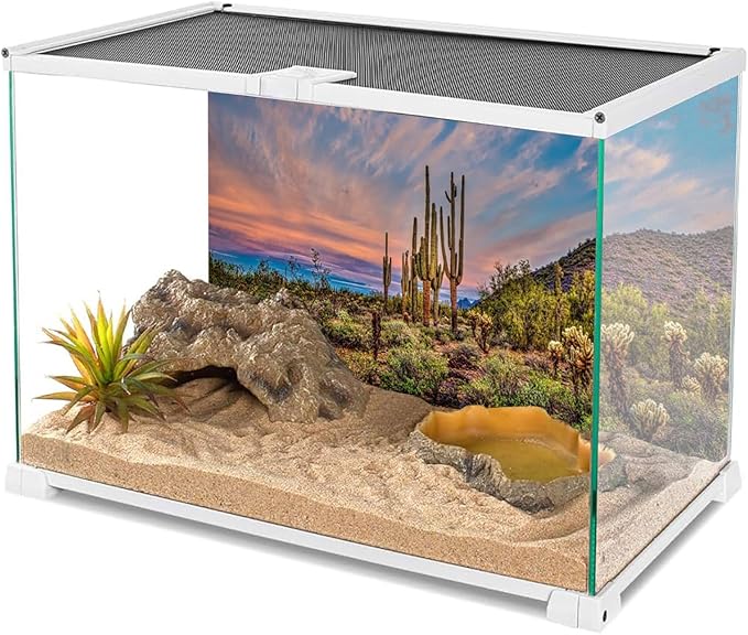 AWERT 36x24 inches Terrarium Background Blue Sky Cloud Huge Cactus Oasis Gobi Reptile Habitat Background Vinyl