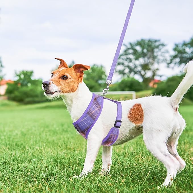 SCENEREAL No Pull Dog Harness with Leash Set for Small Dogs - Breathable Soft Mesh Vest, Plaid Design for Daily Walking Training, Fits Chihuahua Bulldog, Purple Size XS