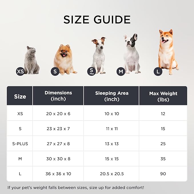 Bedsure Donut Large Dog Bed 36x36x8 inches with Waterproof Dog Blankets for Medium Dogs 30"x40", Cream