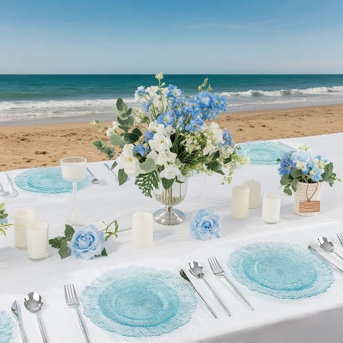 U-QE 60PCS Clear Blue Plates