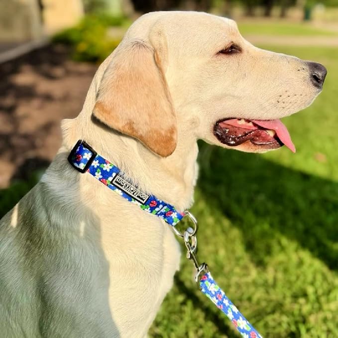 Lucky Love Dog - Easy Click Buckle Dog Collar with Leash Set Combo, Durable & Comfortable for Male & Female Dogs, Pet Collar for Small Dogs, Secure Fit - Lilian Combo, Small