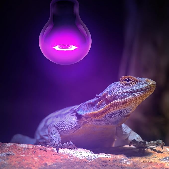 Leoterra 50w Reptile UVA Incandescent Basking Spot Light Bulbs and 50w Incandescent Night Black Heat Lamp Bulbs Combo Pack, for Bearded Dragon Snake Lizard Heating Lighting Use.120V E26 Base