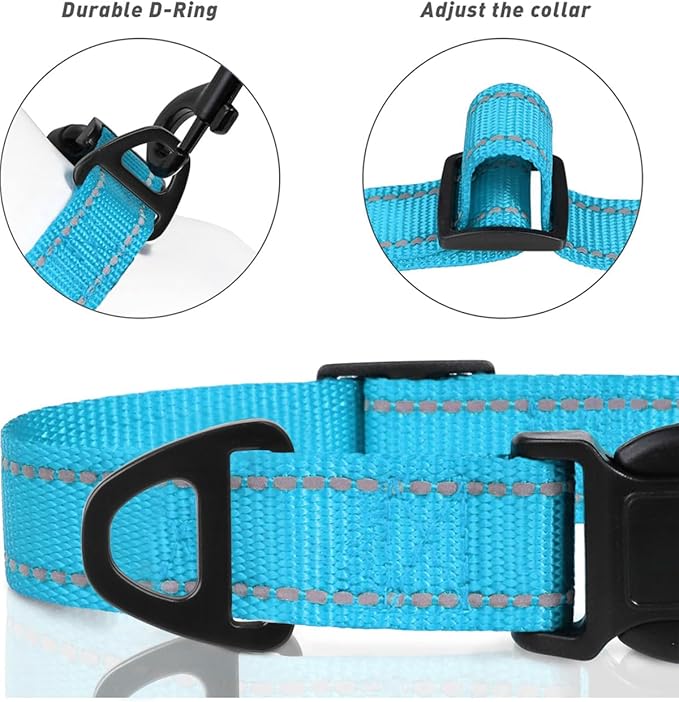 TagME Dog Collars, Adjustable Reflective Nylon Pet Collar with Quick Release Buckle for Medium Dogs, Sky Blue, 1.0" Width