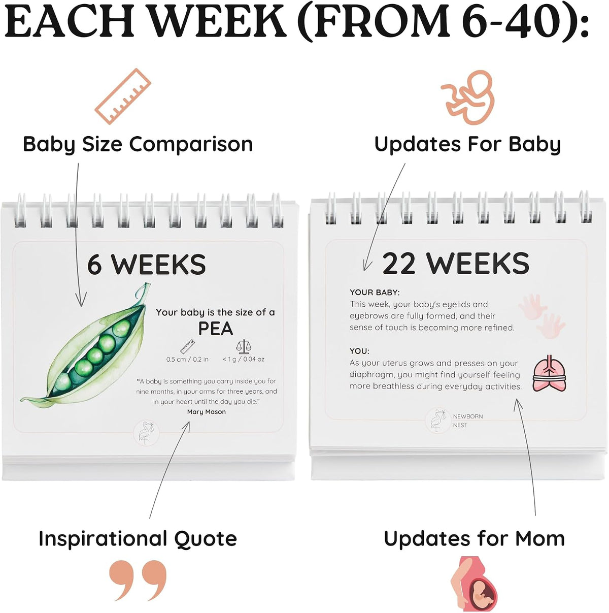 Pregnancy Calendar (Weeks 6–40) - Gift for Expecting Parents