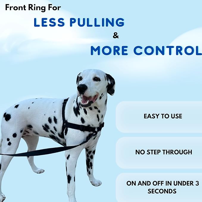ShawnCo Dream Walk No-Pull Dog Harness- Adjustable, Comfortable, Easy to Use Pet Halter to Help Stop Pulling for Small, Medium and Large Dogs (Pacific Blue, S)