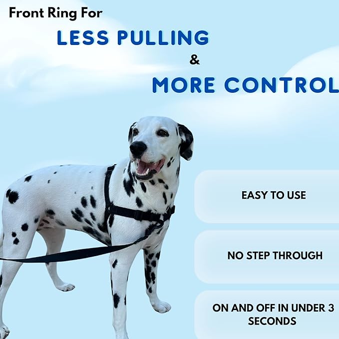 ShawnCo Dream Walk No-Pull Dog Harness- Adjustable, Comfortable, Easy to Use Pet Halter to Help Stop Pulling for Small, Medium and Large Dogs (Midnight, S)