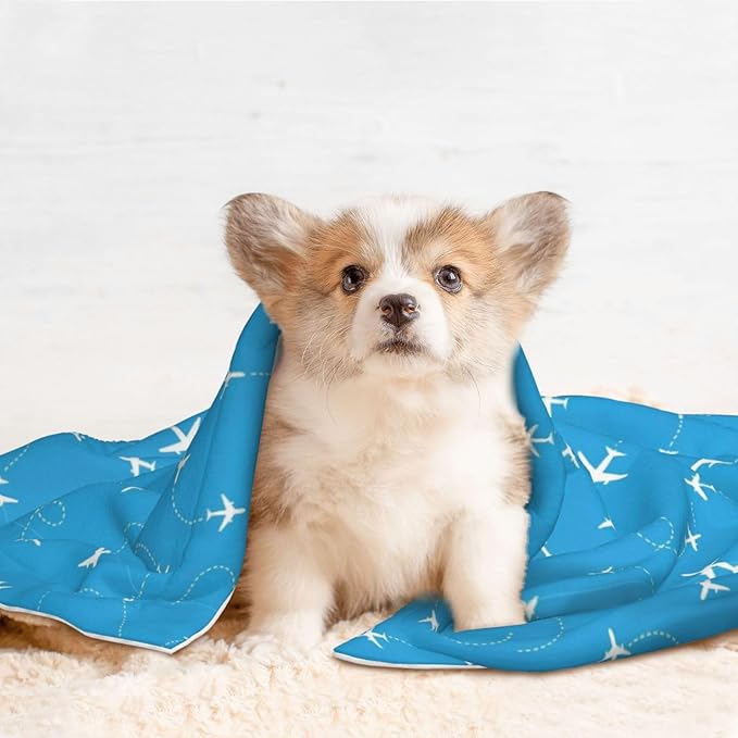 Pet Blanket for Travel and Home, Aircraft Airplane Pattern Navy Blue, Reversible Plush Dot Design with Soft Grip Texture on One Side Perfect for Car Seats Moving Vehicles