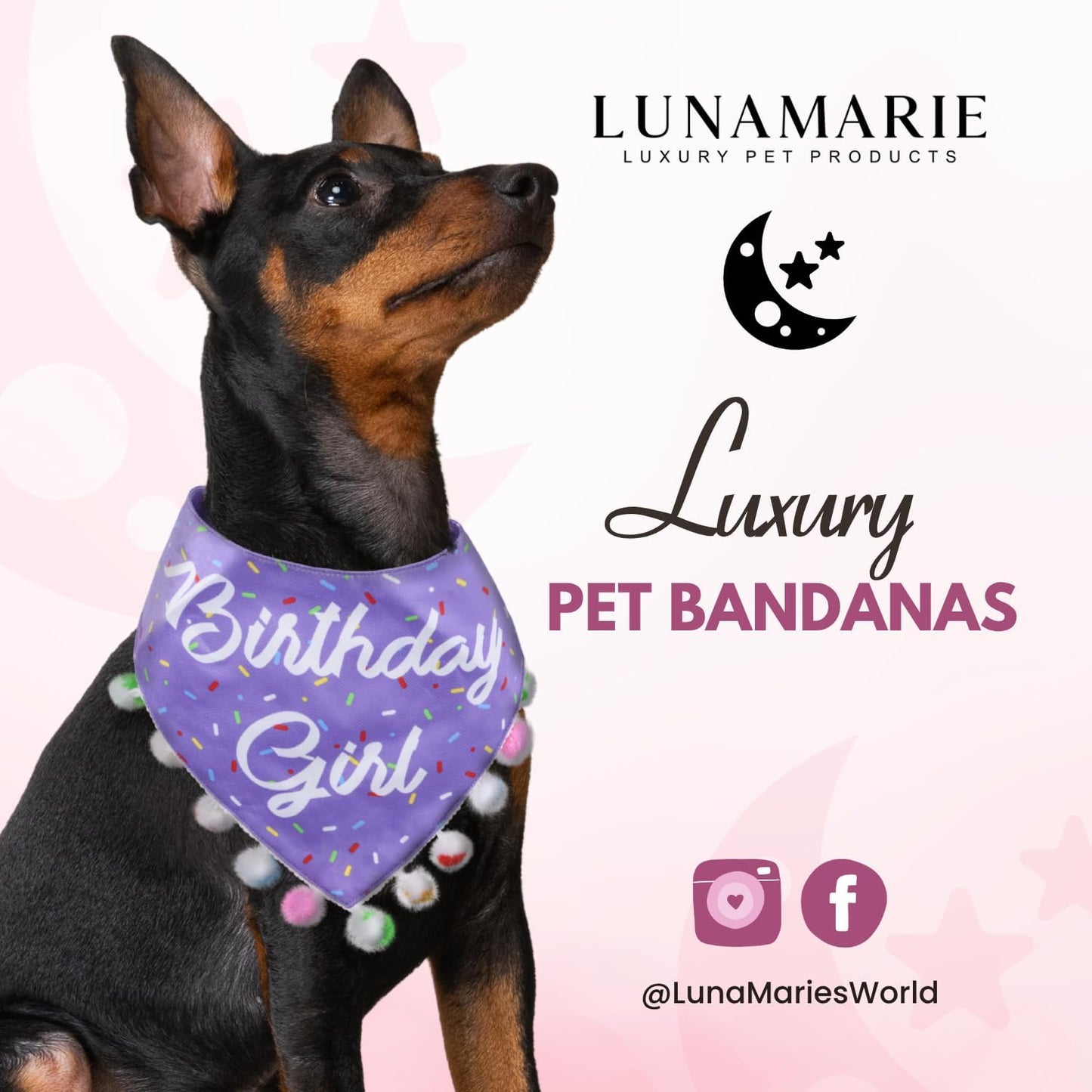 LunaMarie - Luxury Pet Birthday Bandanas -Premium & Silky Poly Fabric | 100% Handmade | Custom Shape Dual Layered (Birthday Girl Purple, Large)