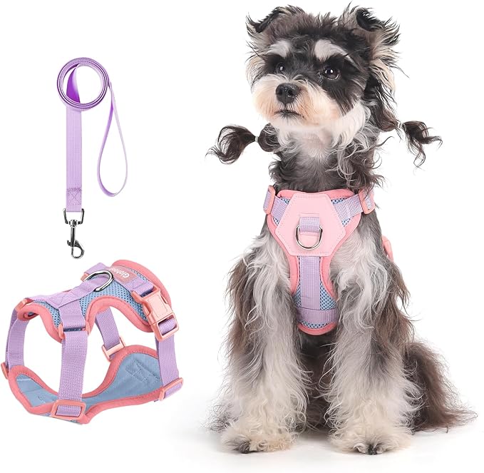 Small Dog Harness and Leash Set, Breathable Mesh Puppy Harness, Adjustable Dog Harness for Small Medium Large Dogs, No-Pull Pet Harness for Daily Walking (Blue, Medium)