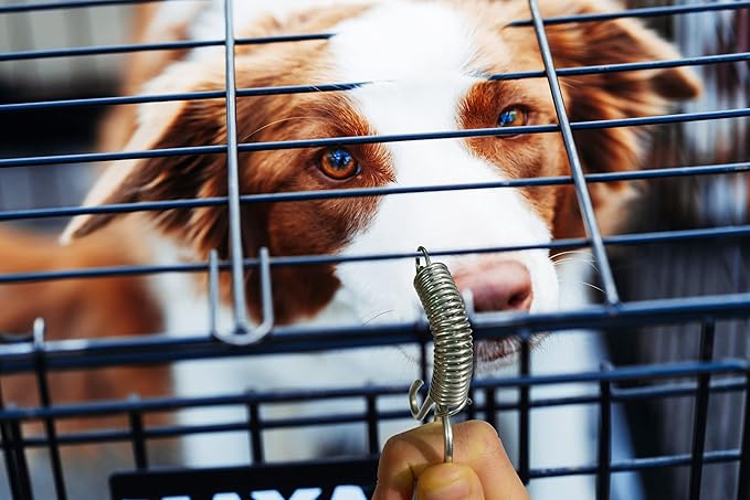Pet Cage Door Latch Spring Hook - 20 Pack Heavy Duty Spring Loaded Dog Crate Lock, Galvanized Steel Chicken Coop Latches for Rabbit Hutch, Bird Cage, Wire Mesh Enclosures
