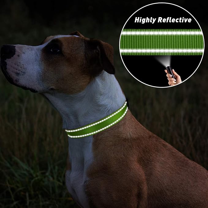 TagME Reflective Nylon Dog Collars, Adjustable Classic Pet Collar with Quick Release Buckle for Medium Dogs, Green, 1.0" Width