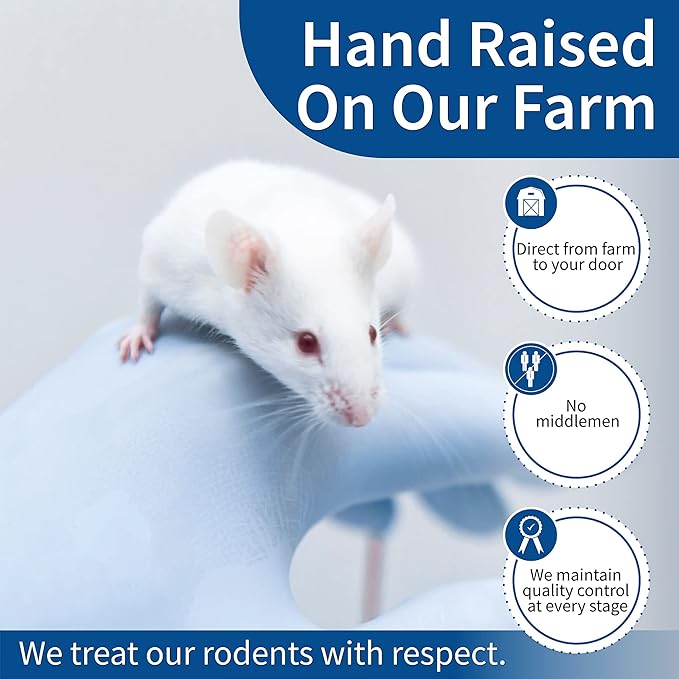 MiceDirect 30 Frozen Mice Combo Pack of 15 Hoppers and 15 Weanling Feeders Snake Food for Mice for Juvenile Ball Python Adult Milk Corn Snakes (1.5-2.5 in)(Pack of 30)(300 Grams Min)