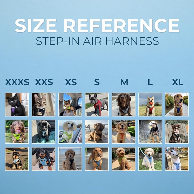 Best Pet Supplies Voyager Step-in Air All Weather Mesh Harness and Reflective Dog 5ft Leash Combo with Neoprene Handle, for Small, Medium and Large Breed Puppies - Set (Baby Blue), Small