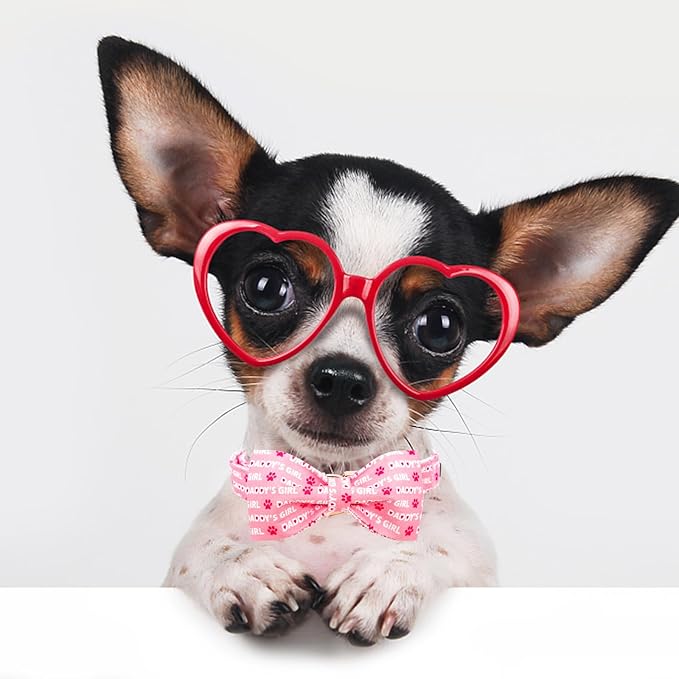 Lionheart glory Dog Bow Collar Valentine's Day Dog Collar for X-Small Dogs, Pink Dog Collars with Bowtie Spring Dog Collar Puppy Collar Bows