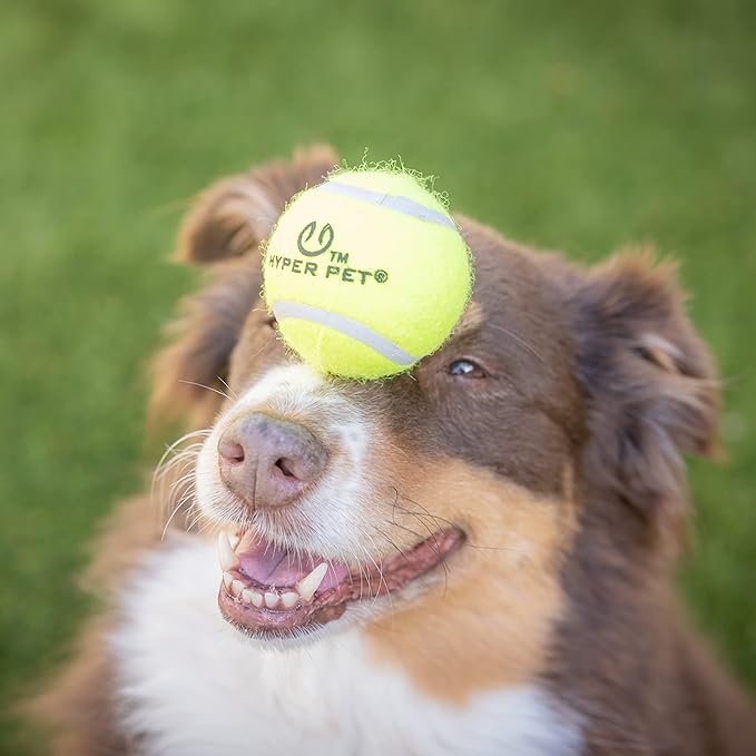Hyper Pet Tennis Balls for Dogs, Pet Safe Dog Toys for Exercise and Training, Pack of 4, Green
