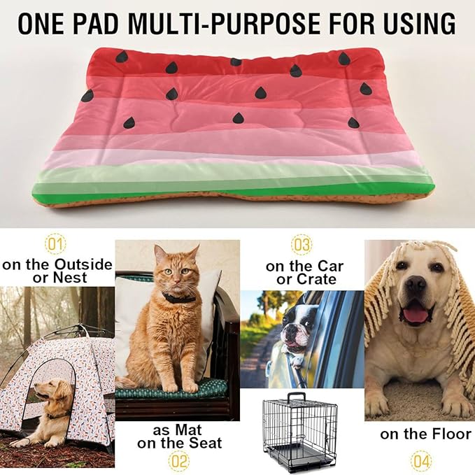 Watermelon Fruits Pet Bed Cute Dog Bed Mat Absorbing Non Slip Pad Pet Sleeping Mat for Small, Medium, and Large Dogs Puppy Cat 24 in x 18 in