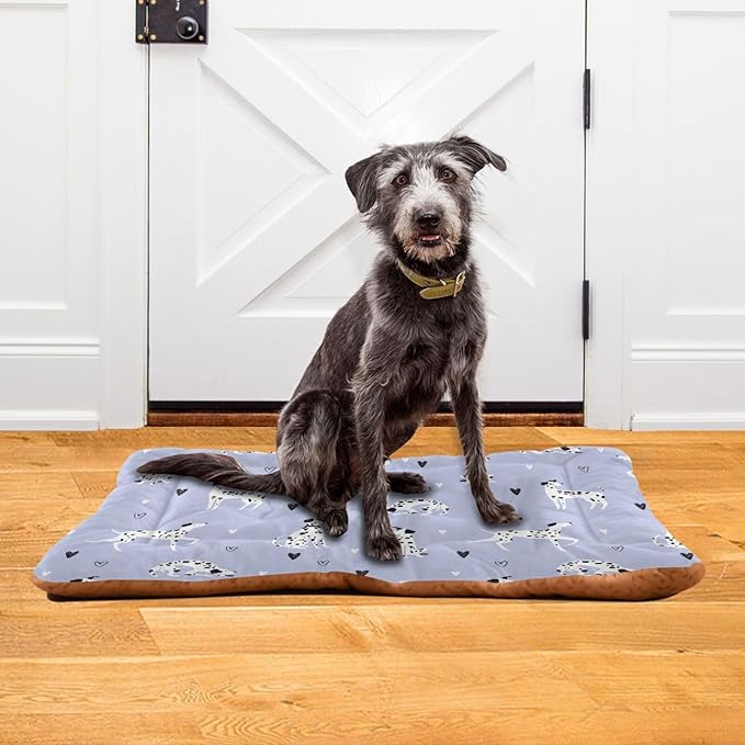 Pet Bed Funny Cartoon Dalmatian Dogs Dog Bed Mat Absorbing Non Slip Pad Pet Sleeping Mat for Small, Medium, and Large Dogs Puppy Cat 36 in x 24 in