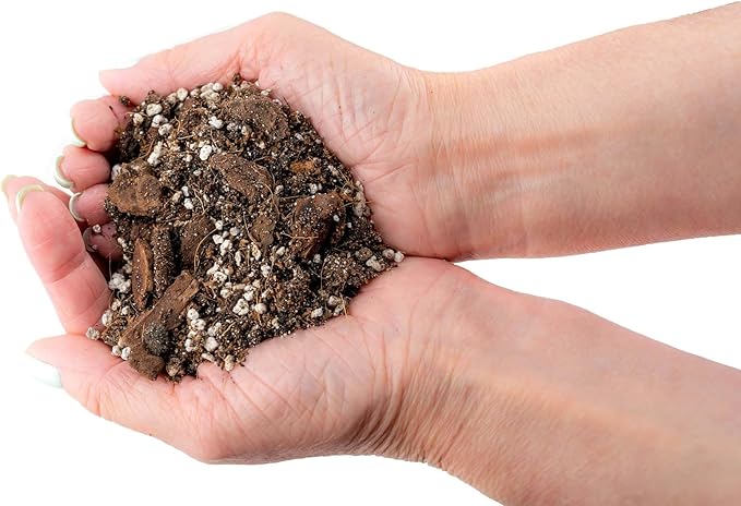 Gardenera Fiddle Leaf Fig Soil Mix - 10 Quart - Premium Blend of Peat Moss, New Zealand Bark, Coco Chips, and Perlite for All Purpose Planting - 2 Bags of 5 Quart