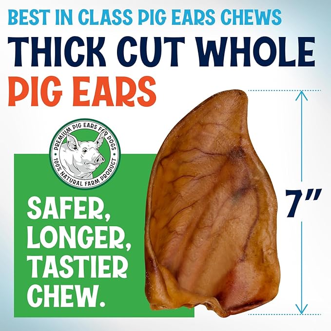 Whole Pig Ears for Dogs Large - 150 Pack Long Lasting Dog Chews – One Ingredient Delicious All Natural Flavor – Easy to Digest Dog Treats for Large Dogs - Great for Teeth and Gums