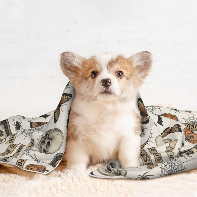 Reversible Pet Blanket for Sofa Protection Pet Comfort, Vintage Skull Skeleton Spider Web Witch Board Gothic, Double Sided Design with Cozy Nubby Nap Side and Durable Smooth Play Side