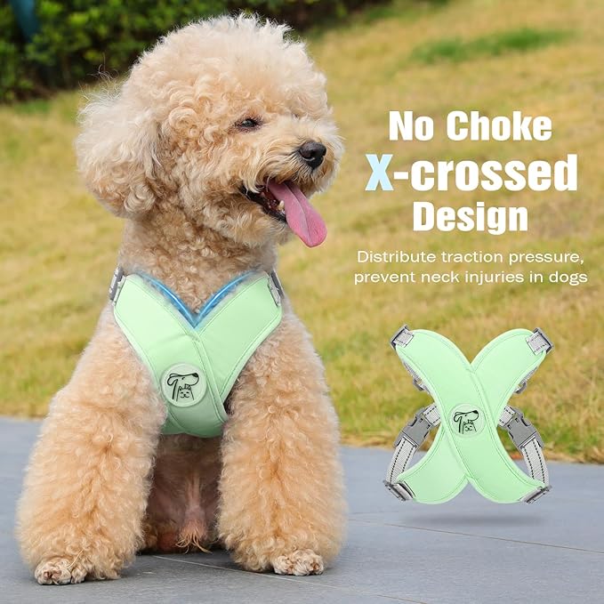 Pawaboo Small Dog Harness and Leash Set, Puppy Harness X-Frame No Pull No Choke, Dog Vest Harness Adjustable for Small Medium Sized Dogs, Soft Breathable Pet Harness for Walking Outing, M, Mint Green