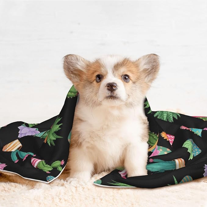 Reversible Pet Blanket for Sofa Protection Pet Comfort, Succulent Cactus Potted Plants, Double Sided Design with Cozy Nubby Nap Side and Durable Smooth Play Side