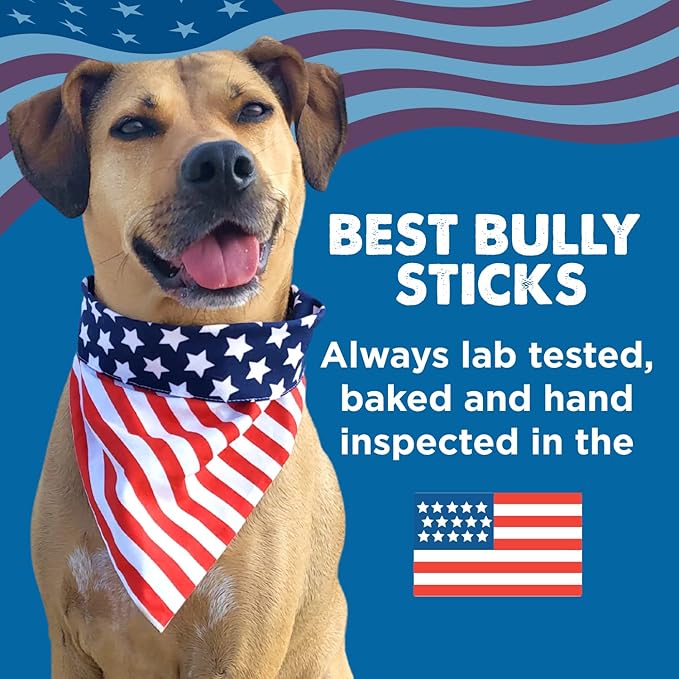 Best Bully Sticks Pig Ears - 25 Count (Pack of 1) - All Natural, USA Baked and Packed, Single Ingredient, Easily Digestible 100% Pork Chew Treat - Puppies, Small, Medium, Large Dogs