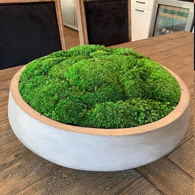 Preserved Pole Moss Pillow Bun Cushion Natural Green Decorative Real Natural Green DIY Kit Terrariums Gardenning Art Wall Decor Florist Decor Easter Table Decor Wedding (3.0 sq.ft., Green-B)