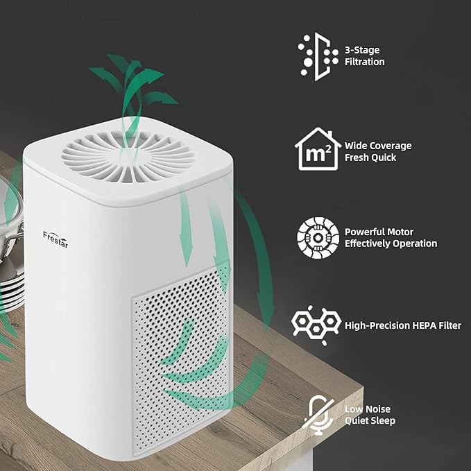 Desktop Air Purifier with HEPA Filter